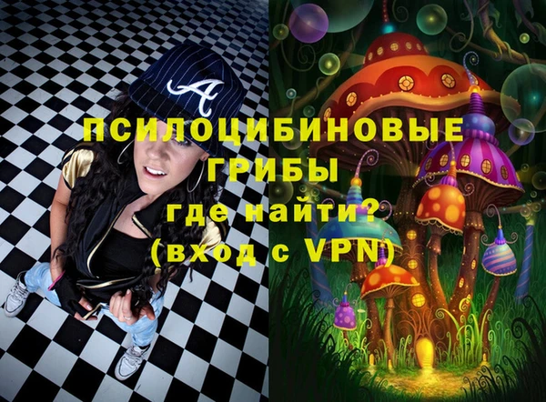 прущие грибы Балахна