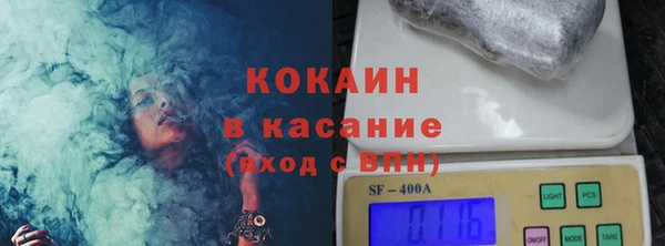 прущие грибы Балахна