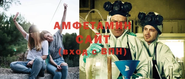 шишки Аркадак