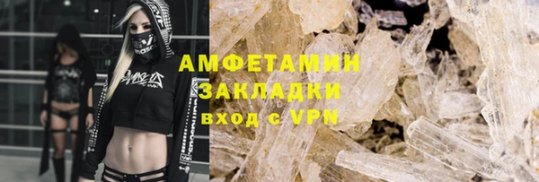 шишки Аркадак